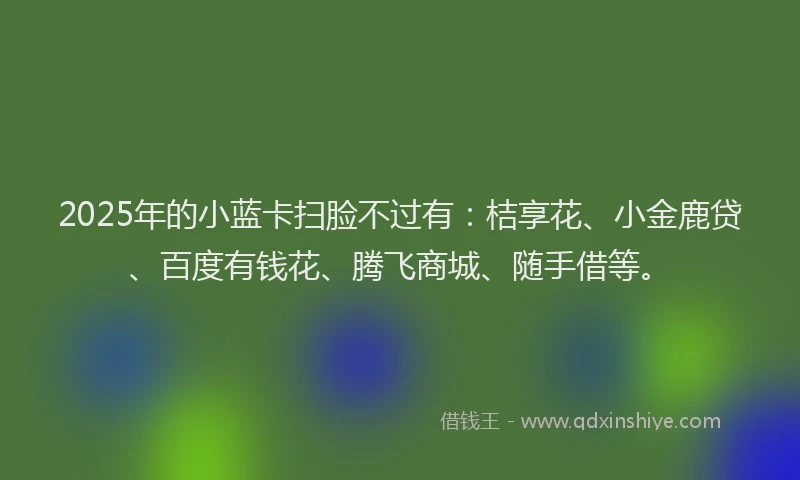 2025年的小蓝卡扫脸不过有：桔享花、小金鹿贷、百度有钱花、腾飞商城、随手借等。