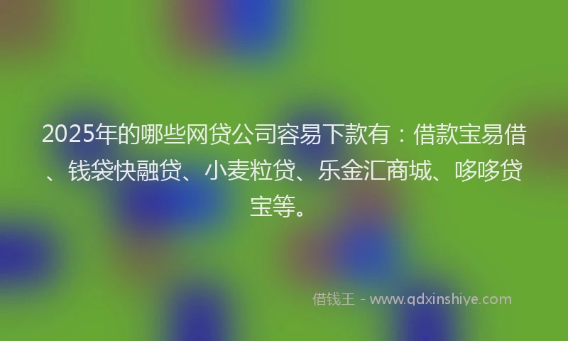 2025年的哪些网贷公司容易下款有：借款宝易借、钱袋快融贷、小麦粒贷、乐金汇商城、哆哆贷宝等。