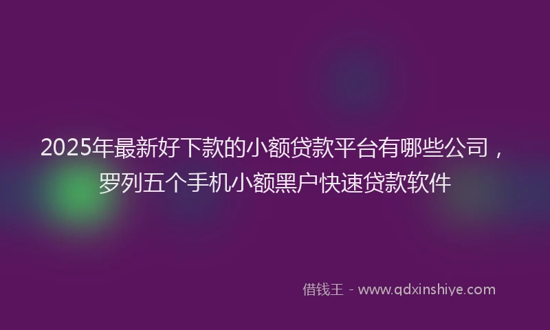 2025年最新好下款的小额贷款平台有哪些公司，罗列五个手机小额黑户快速贷款软件