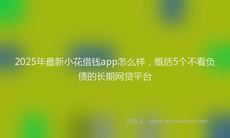 2025年最新小花借钱app怎么样，概括5个不看负债的长期网贷平台