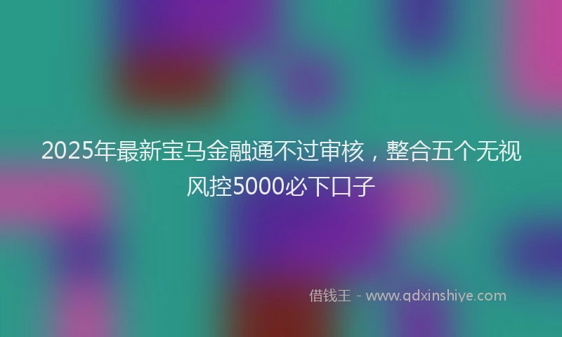 2025年最新宝马金融通不过审核，整合五个无视风控5000必下口子
