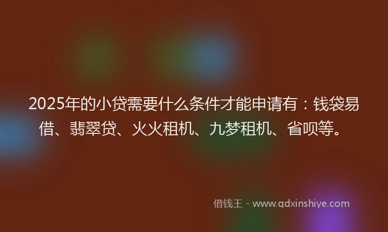 2025年的小贷需要什么条件才能申请有：钱袋易借、翡翠贷、火火租机、九梦租机、省呗等。