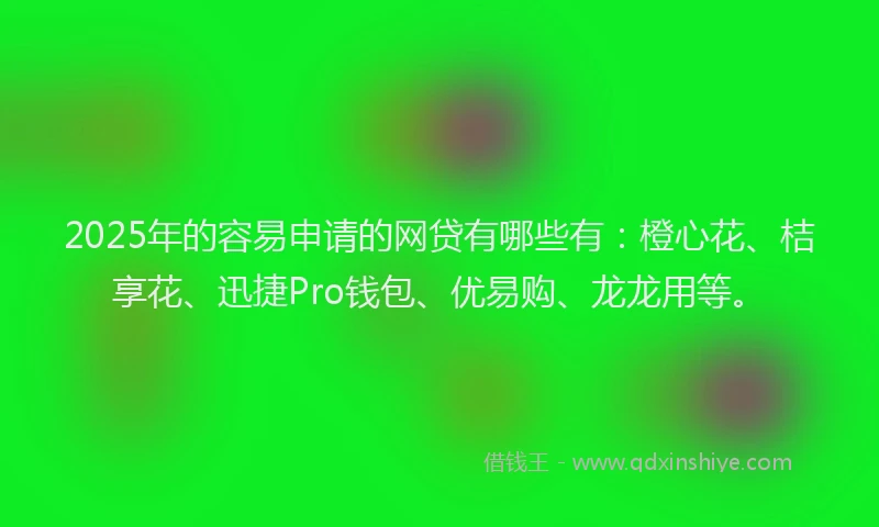 2025年的容易申请的网贷有哪些有：橙心花、桔享花、迅捷Pro钱包、优易购、龙龙用等。