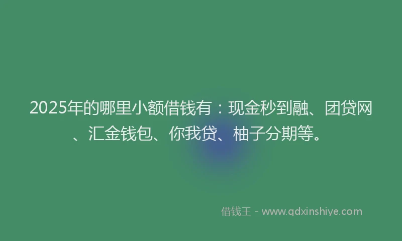 2025年的哪里小额借钱有：现金秒到融、团贷网、汇金钱包、你我贷、柚子分期等。