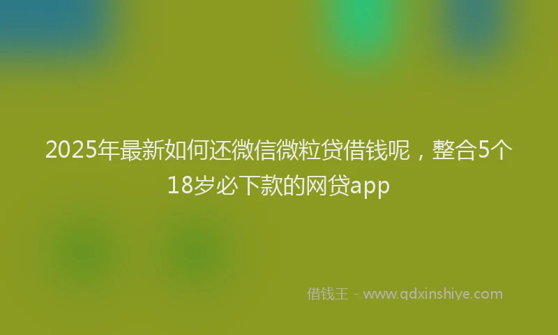 2025年最新如何还微信微粒贷借钱呢，整合5个18岁必下款的网贷app