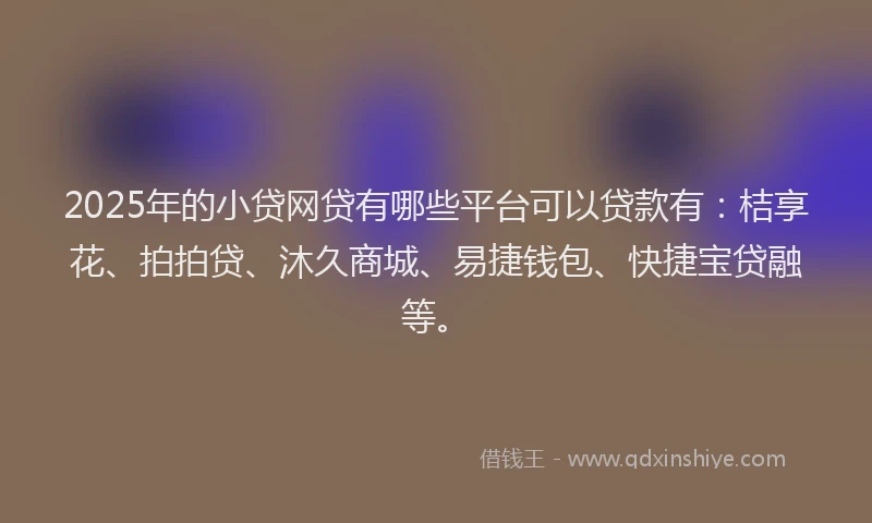 2025年的小贷网贷有哪些平台可以贷款有：桔享花、拍拍贷、沐久商城、易捷钱包、快捷宝贷融等。