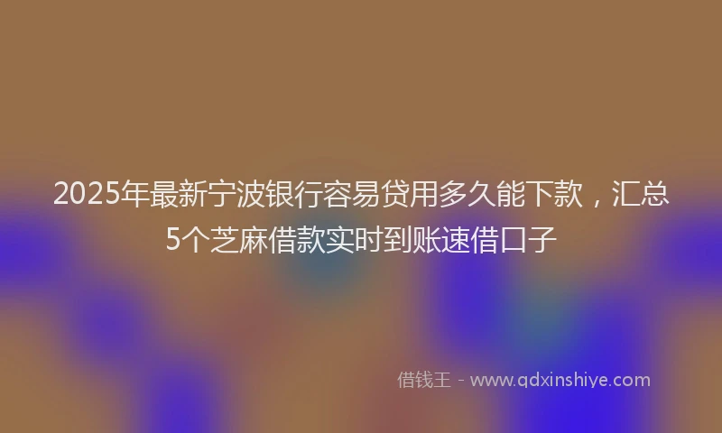 2025年最新宁波银行容易贷用多久能下款，汇总5个芝麻借款实时到账速借口子