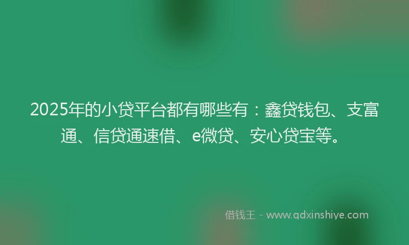 2025年的小贷平台都有哪些有：鑫贷钱包、支富通、信贷通速借、e微贷、安心贷宝等。