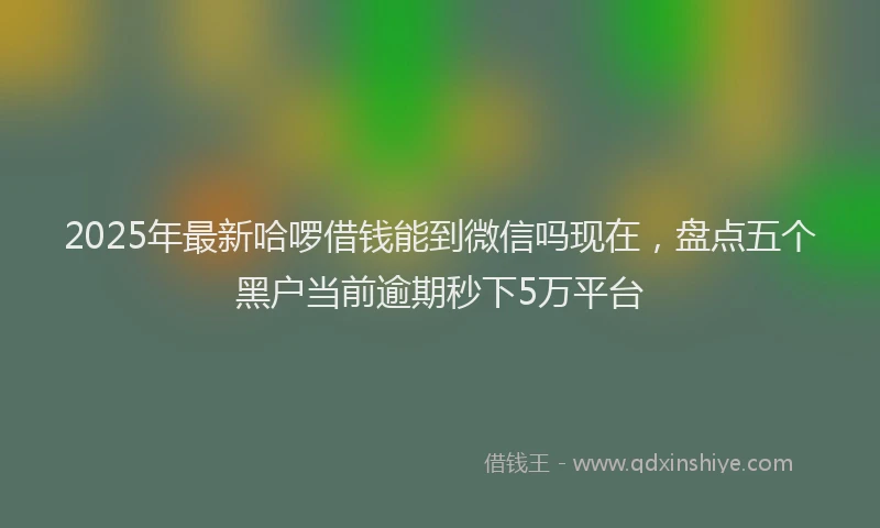 2025年最新哈啰借钱能到微信吗现在，盘点五个黑户当前逾期秒下5万平台