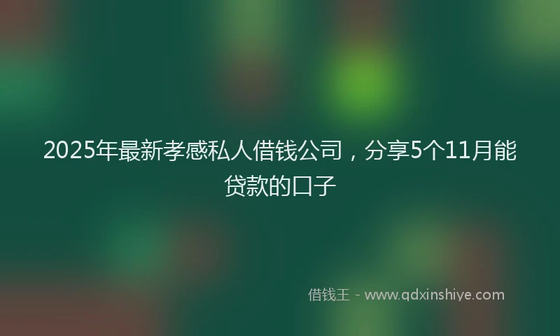 2025年最新孝感私人借钱公司，分享5个11月能贷款的口子