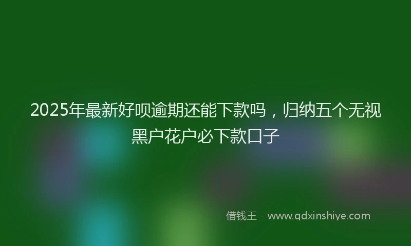 2025年最新好呗逾期还能下款吗，归纳五个无视黑户花户必下款口子