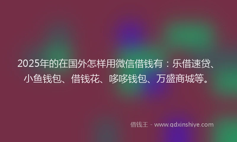 2025年的在国外怎样用微信借钱有：乐借速贷、小鱼钱包、借钱花、哆哆钱包、万盛商城等。