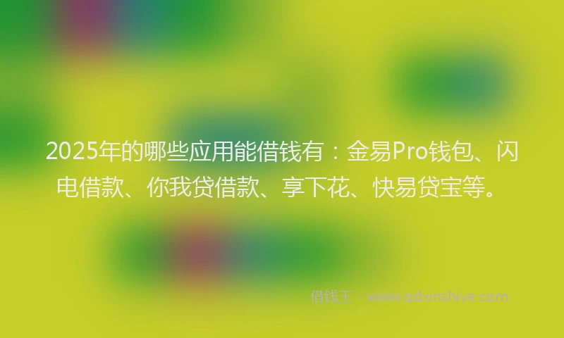 2025年的哪些应用能借钱有：金易Pro钱包、闪电借款、你我贷借款、享下花、快易贷宝等。