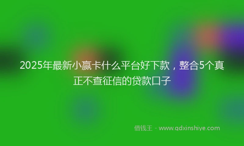 2025年最新小赢卡什么平台好下款，整合5个真正不查征信的贷款口子