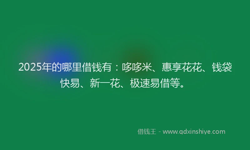 2025年的哪里借钱有：哆哆米、惠享花花、钱袋快易、新一花、极速易借等。