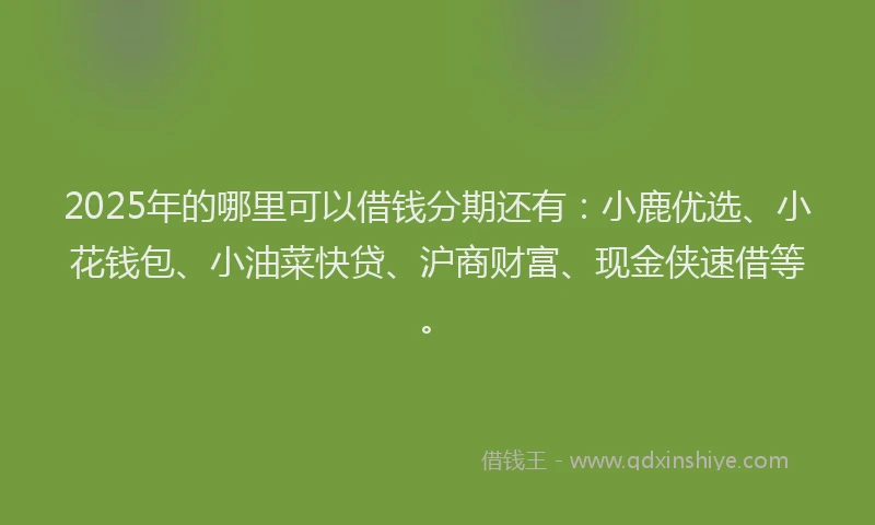 2025年的哪里可以借钱分期还有：小鹿优选、小花钱包、小油菜快贷、沪商财富、现金侠速借等。