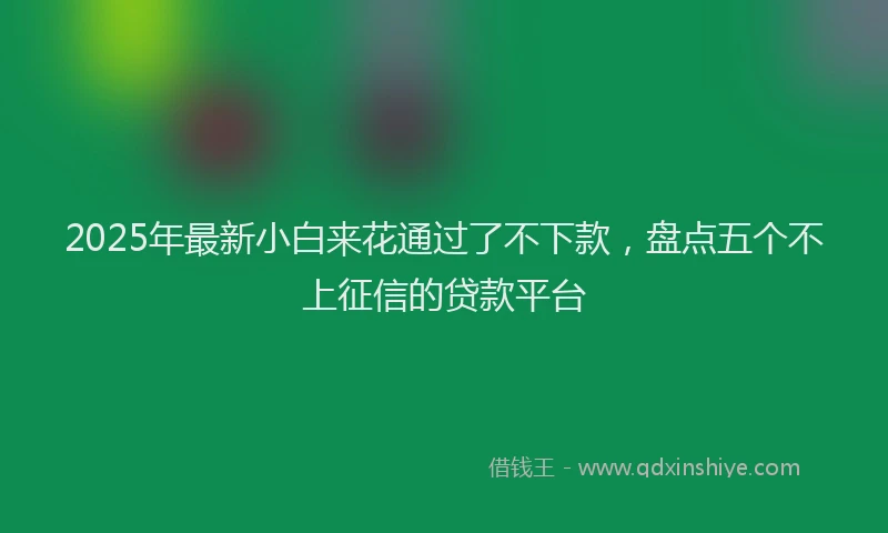 2025年最新小白来花通过了不下款，盘点五个不上征信的贷款平台