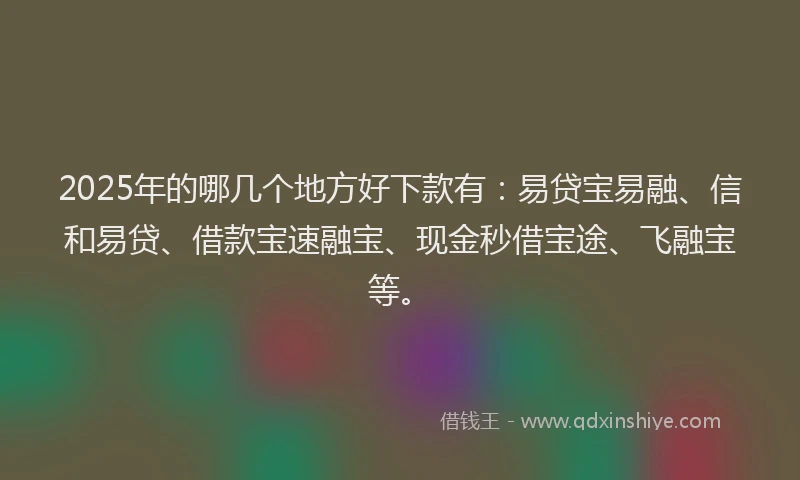 2025年的哪几个地方好下款有：易贷宝易融、信和易贷、借款宝速融宝、现金秒借宝途、飞融宝等。