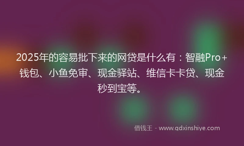 2025年的容易批下来的网贷是什么有：智融Pro+钱包、小鱼免审、现金驿站、维信卡卡贷、现金秒到宝等。