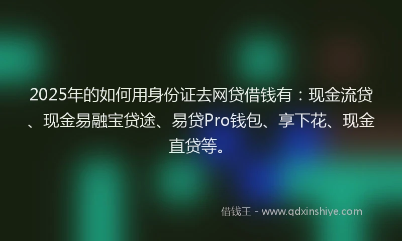 2025年的如何用身份证去网贷借钱有：现金流贷、现金易融宝贷途、易贷Pro钱包、享下花、现金直贷等。