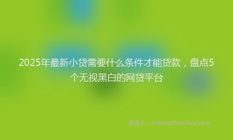 2025年最新小贷需要什么条件才能贷款，盘点5个无视黑白的网贷平台