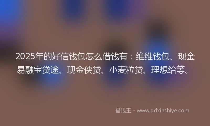 2025年的好信钱包怎么借钱有：维维钱包、现金易融宝贷途、现金侠贷、小麦粒贷、理想给等。