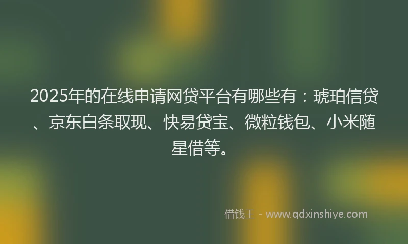 2025年的在线申请网贷平台有哪些有：琥珀信贷、京东白条取现、快易贷宝、微粒钱包、小米随星借等。