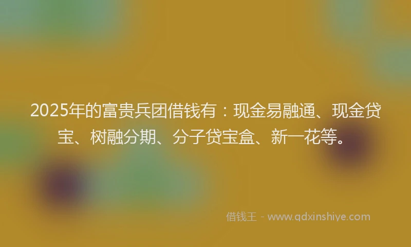 2025年的富贵兵团借钱有：现金易融通、现金贷宝、树融分期、分子贷宝盒、新一花等。