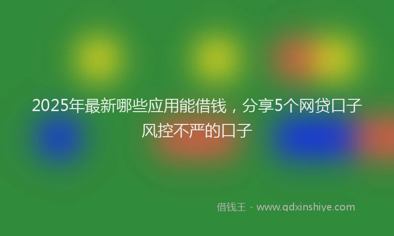 2025年最新哪些应用能借钱，分享5个网贷口子风控不严的口子