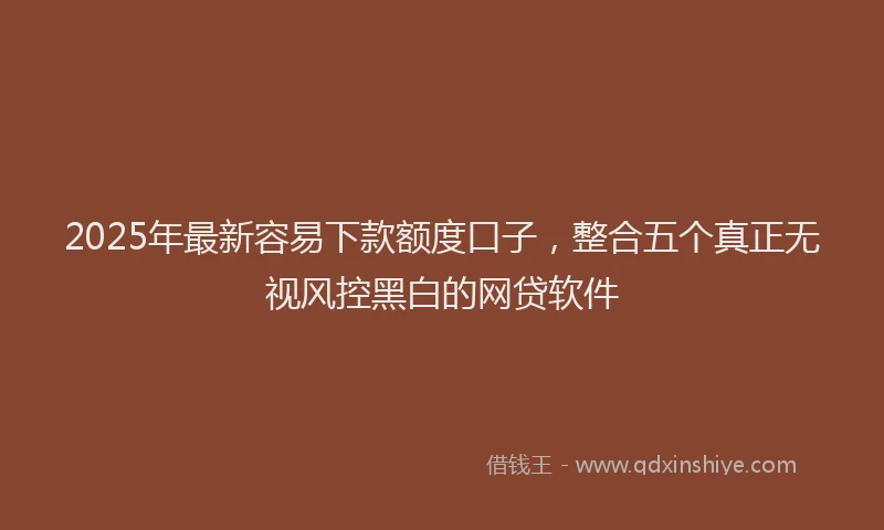 2025年最新容易下款额度口子，整合五个真正无视风控黑白的网贷软件