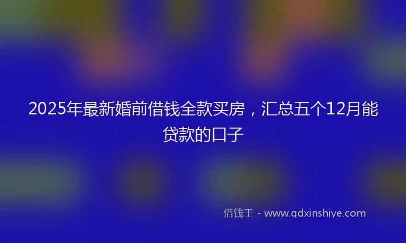 2025年最新婚前借钱全款买房，汇总五个12月能贷款的口子