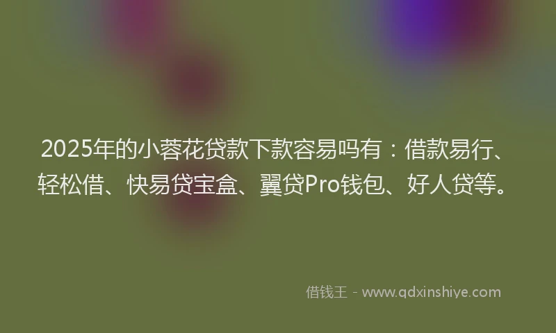 2025年的小蓉花贷款下款容易吗有：借款易行、轻松借、快易贷宝盒、翼贷Pro钱包、好人贷等。