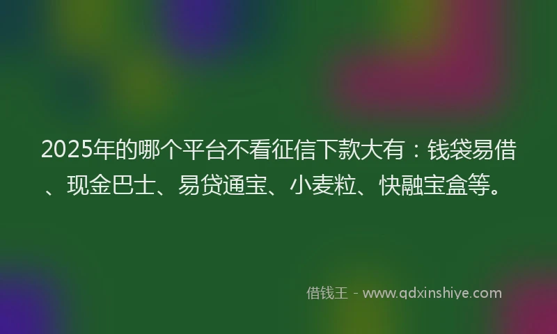 2025年的哪个平台不看征信下款大有:钱袋易借、现金巴士、易贷通宝、小麦粒、快融宝盒等。
