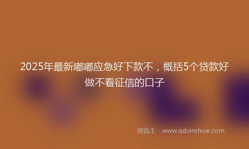 2025年最新嘟嘟应急好下款不，概括5个贷款好做不看征信的口子