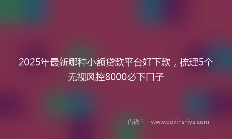 2025年最新哪种小额贷款平台好下款，梳理5个无视风控8000必下口子