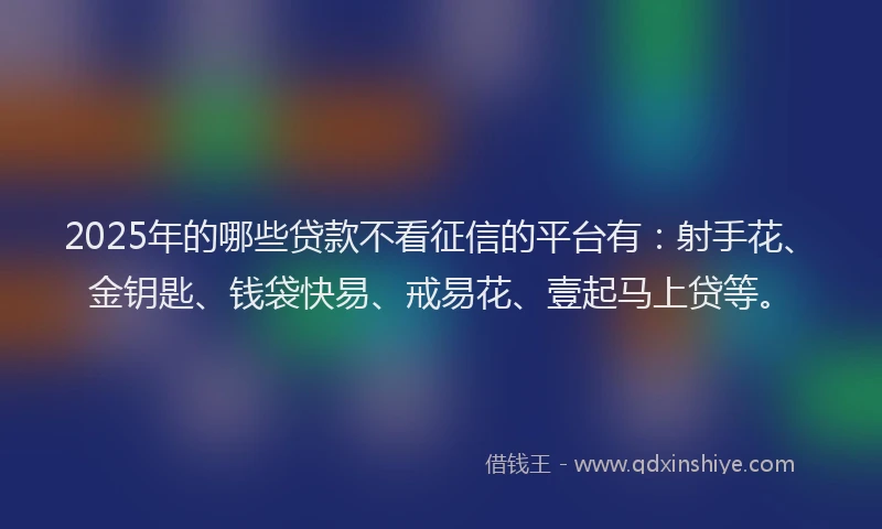 2025年的哪些贷款不看征信的平台有：射手花、金钥匙、钱袋快易、戒易花、壹起马上贷等。
