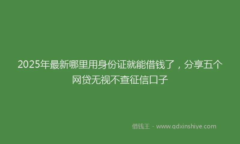 2025年最新哪里用身份证就能借钱了，分享五个网贷无视不查征信口子