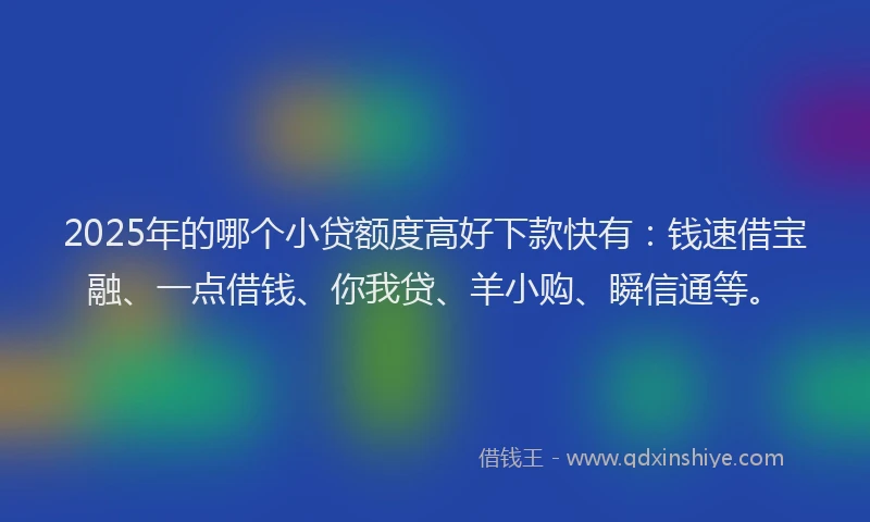 2025年的哪个小贷额度高好下款快有：钱速借宝融、一点借钱、你我贷、羊小购、瞬信通等。