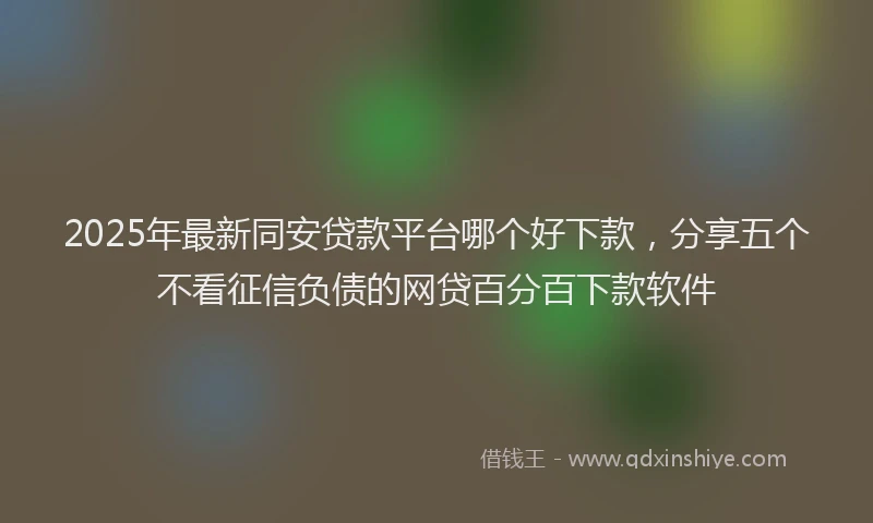 2025年最新同安贷款平台哪个好下款，分享五个不看征信负债的网贷百分百下款软件
