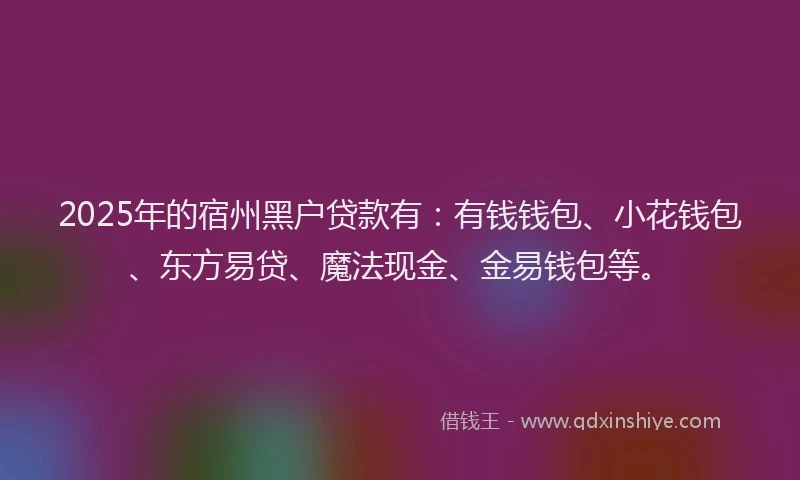 2025年的宿州黑户贷款有：有钱钱包、小花钱包、东方易贷、魔法现金、金易钱包等。