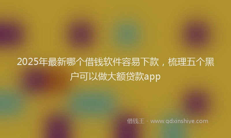 2025年最新哪个借钱软件容易下款，梳理五个黑户可以做大额贷款app