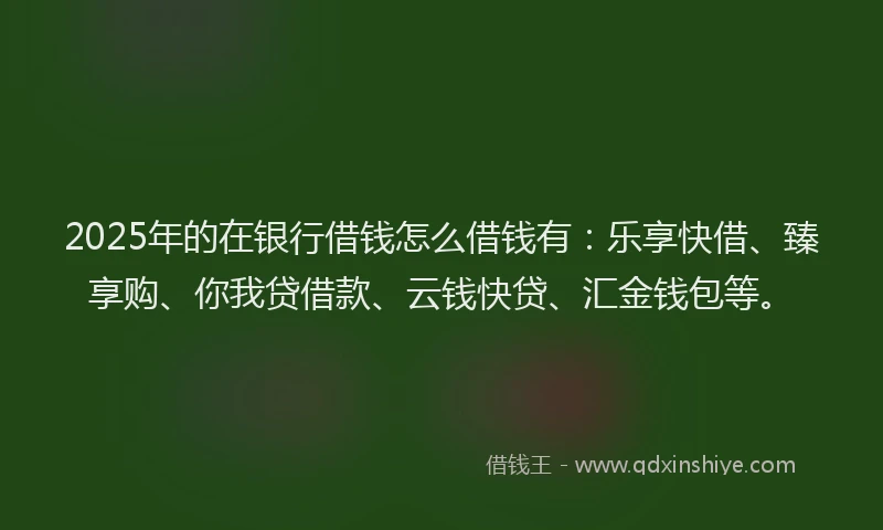 2025年的在银行借钱怎么借钱有：乐享快借、臻享购、你我贷借款、云钱快贷、汇金钱包等。