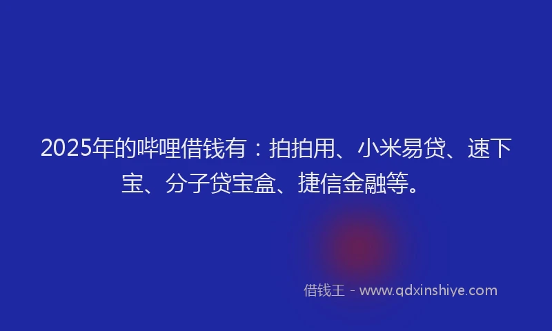 2025年的哔哩借钱有：拍拍用、小米易贷、速下宝、分子贷宝盒、捷信金融等。