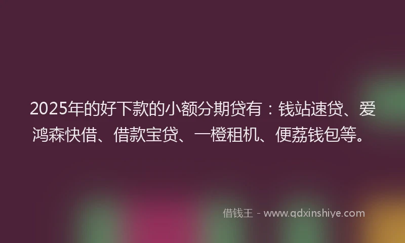 2025年的好下款的小额分期贷有：钱站速贷、爱鸿森快借、借款宝贷、一橙租机、便荔钱包等。