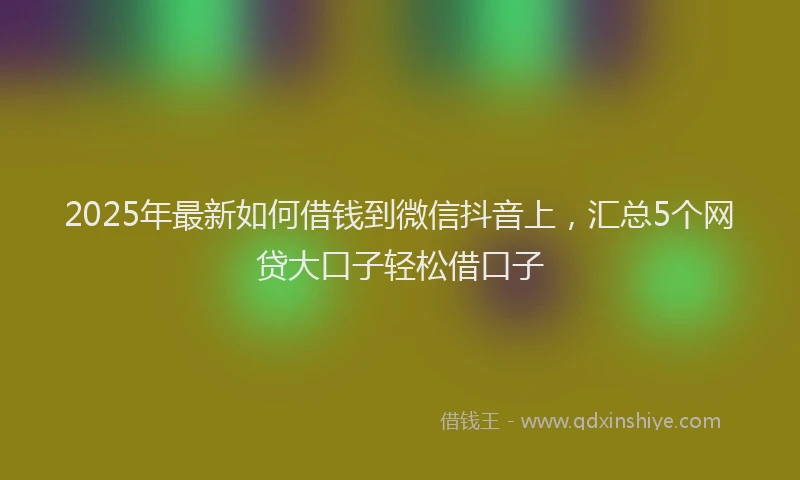 2025年最新如何借钱到微信抖音上，汇总5个网贷大口子轻松借口子