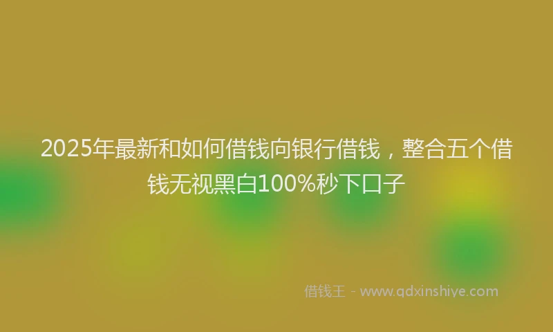 2025年最新和如何借钱向银行借钱，整合五个借钱无视黑白100%秒下口子