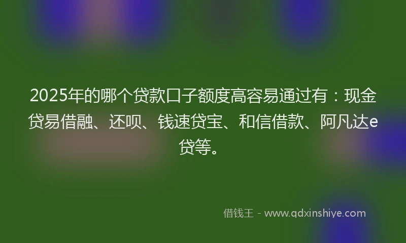 2025年的哪个贷款口子额度高容易通过有：现金贷易借融、还呗、钱速贷宝、和信借款、阿凡达e贷等。