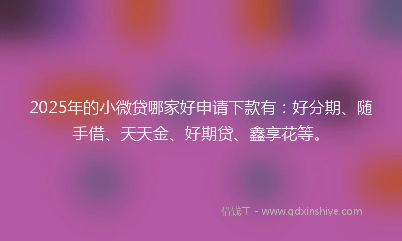 2025年的小微贷哪家好申请下款有：好分期、随手借、天天金、好期贷、鑫享花等。