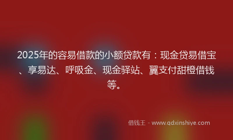 2025年的容易借款的小额贷款有：现金贷易借宝、享易达、呼吸金、现金驿站、翼支付甜橙借钱等。