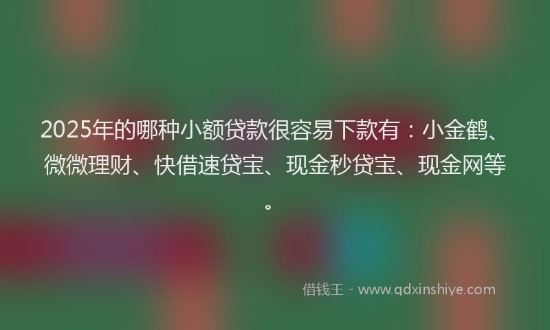 2025年的哪种小额贷款很容易下款有：小金鹤、微微理财、快借速贷宝、现金秒贷宝、现金网等。